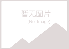 宁夏山柏能源有限公司